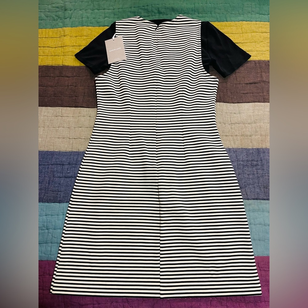 NWT, Everlane B/W Striped Shift Dress and Black Everlane Ribbed Tshirt, Size S - Picture 3 of 15